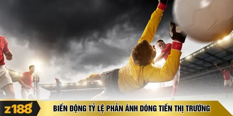  Biến động tỷ lệ phản ánh dòng tiền thị trường